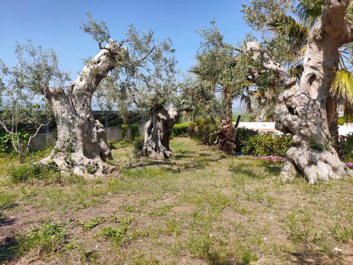 Villa Vittoria Matera Eksteriør bilde
